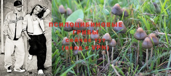 дурь Лиски