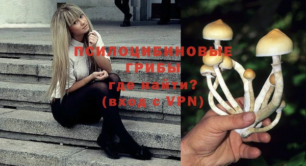 Альфа ПВП Липки