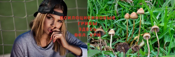 мет Мегион