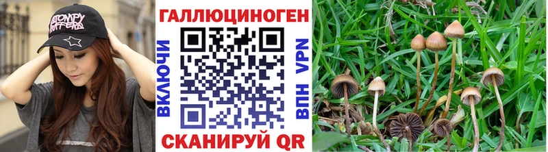 гидра ONION Черемхово Галлюциногенные грибы GOLDEN TEACHER
